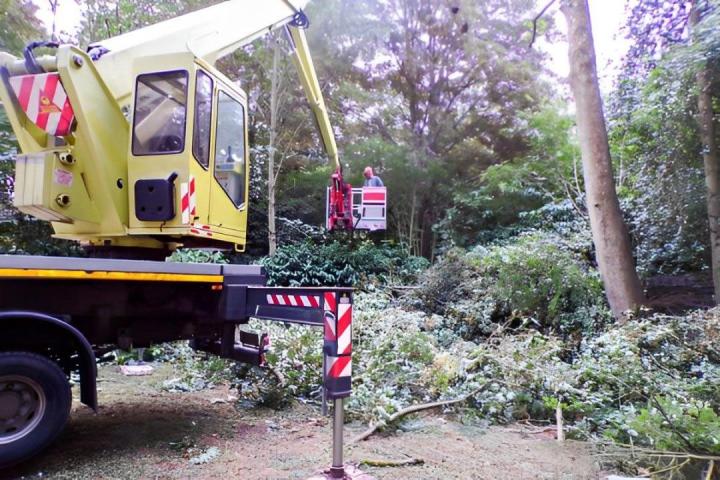 Débroussaillage Falaise